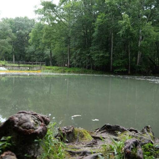 gilchrist collapse2 In: Gilchrist Blue Spring Collapse Likely Was Preventable and Human Caused | Our Santa Fe River, Inc. (OSFR) | Protecting the Santa Fe River