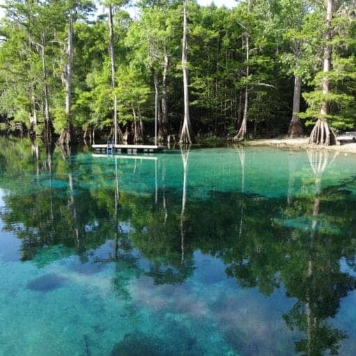 springwaltoncoFB In: Report Says Better Management Needed for Florida’s Wastewater | Our Santa Fe River, Inc. (OSFR) | Protecting the Santa Fe River