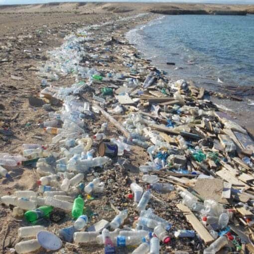 plasticpollution3WikiPD In: Failure of Summit Largely Fault of USA | Our Santa Fe River, Inc. (OSFR) | Protecting the Santa Fe River