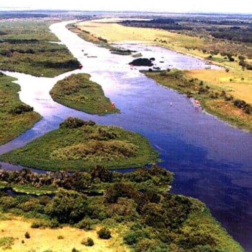 KissimmeeRiverUSACE In: "Restoration" Doesn't Happen In Florida | Our Santa Fe River, Inc. (OSFR) | Protecting the Santa Fe River