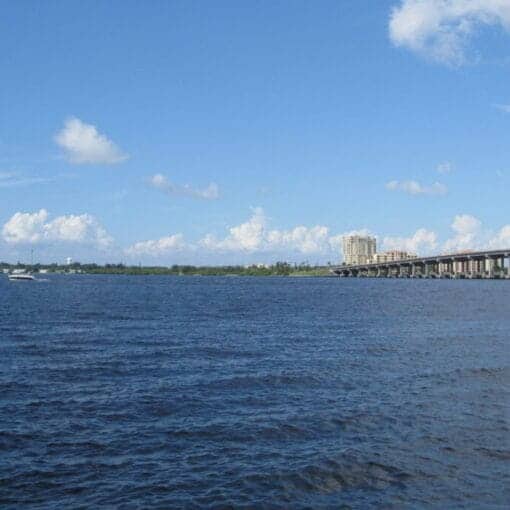 manateeriverwikicc In: Rare Good News From Manatee County | Our Santa Fe River, Inc. (OSFR) | Protecting the Santa Fe River