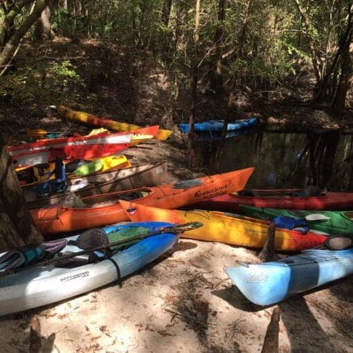 Kayaks