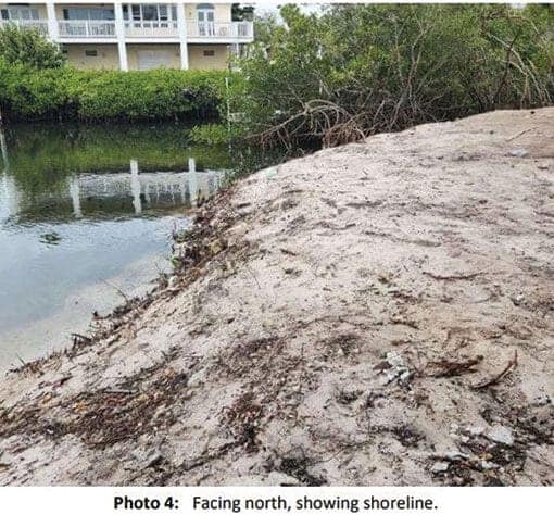 mangrovedestruction DEP In: Developer Wins, Mangroves lose. | Our Santa Fe River, Inc. (OSFR) | Protecting the Santa Fe River