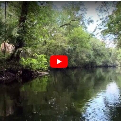 Summer paddle to River Rise
