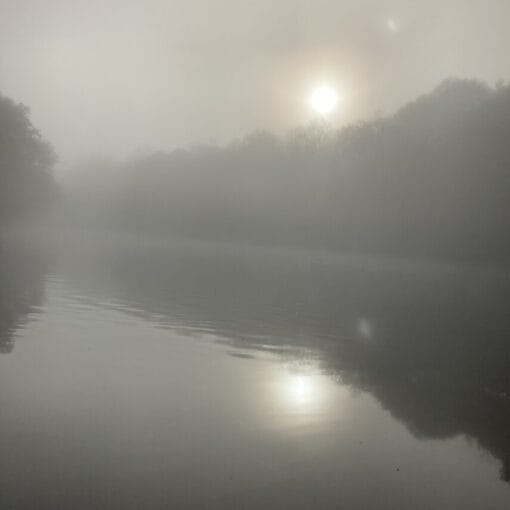 MistyMarchMorning