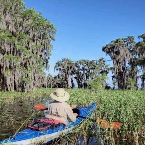 Lake Santa Fe, Mark Chiappini