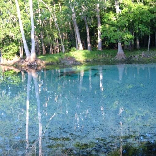 AsAboveSoBelow image by Lucinda Merritt