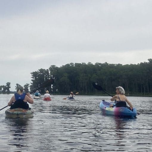 Mothers Day at Melrose Bay