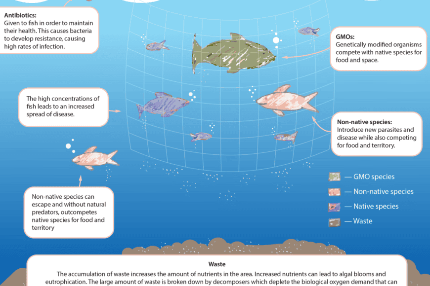 aquacultureWikiCC In: More On Aquaculture | Our Santa Fe River, Inc. (OSFR) | Protecting the Santa Fe River