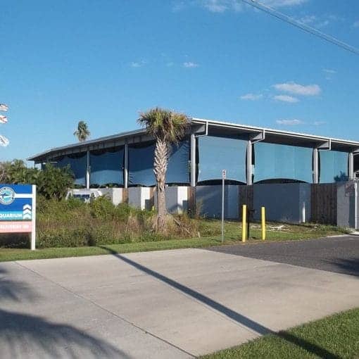 motemarine wikiCC In: Misdirected Algal Funds | Our Santa Fe River, Inc. (OSFR) | Protecting the Santa Fe River