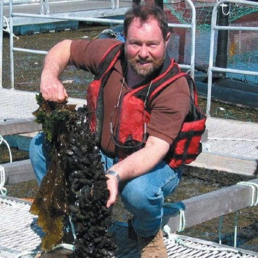 cultured mussels pubdomain In: Aquatic Farming Surpasses Fishing for First Time: UN Report | Our Santa Fe River, Inc. (OSFR) | Protecting the Santa Fe River