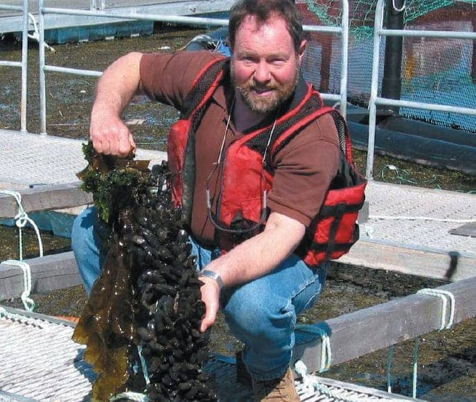 cultured mussels pubdomain In: Aquatic Farming Surpasses Fishing for First Time: UN Report | Our Santa Fe River, Inc. (OSFR) | Protecting the Santa Fe River