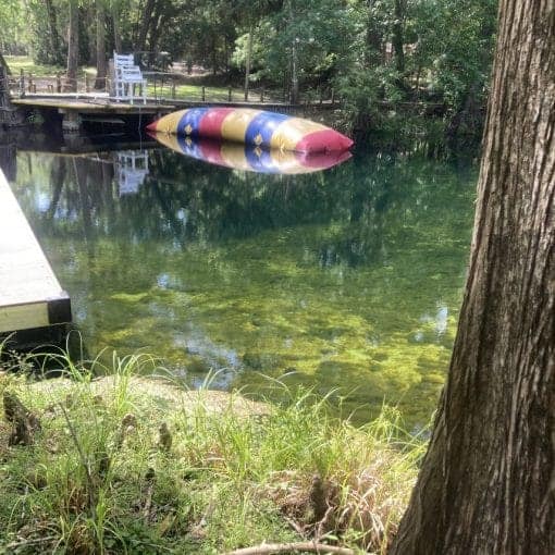 Hornsby Spring 2024/JT