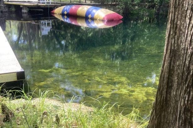 Hornsby Spring 2024/JT