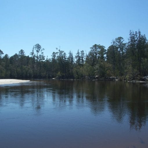 BlackwaterRiverCC In: Rare Win for the River and all Florida | Our Santa Fe River, Inc. (OSFR) | Protecting the Santa Fe River