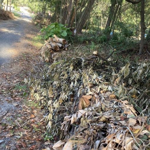 Swales 1 In: Water flow and building resilient communities | Our Santa Fe River, Inc. (OSFR) | Protecting the Santa Fe River