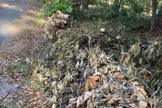 Swales 1 In: Water flow and building resilient communities | Our Santa Fe River, Inc. (OSFR) | Protecting the Santa Fe River