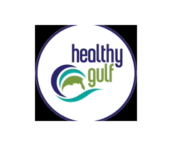 healthy gulf2 In: Ascend Performance Materials’ Cantonment Nylon Plant Most Toxic in Florida | Our Santa Fe River, Inc. (OSFR) | Protecting the Santa Fe River