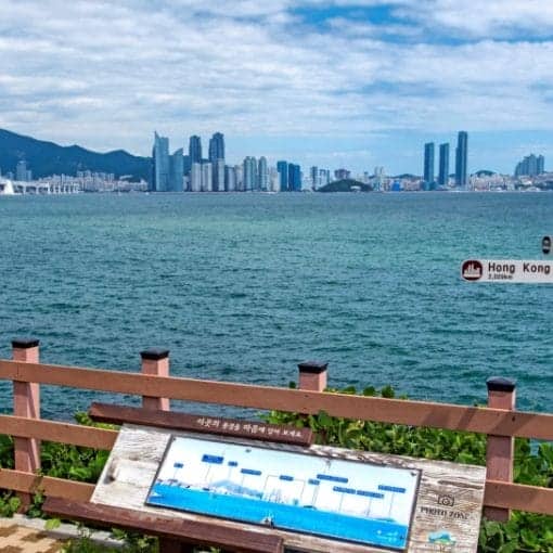 BusonSK website In: Talks On Plastics Fail | Our Santa Fe River, Inc. (OSFR) | Protecting the Santa Fe River