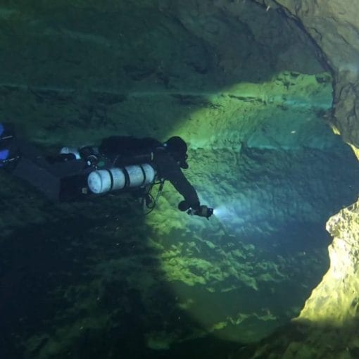 From Ken Sallot, a Guide at Mill Creek Sink.