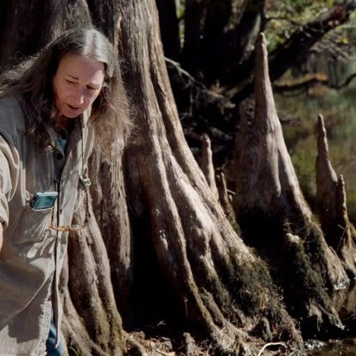 MerrrilleeGristArticle In: Merrillee Malwitz-Jipson, OSFR In Water Article | Our Santa Fe River, Inc. (OSFR) | Protecting the Santa Fe River