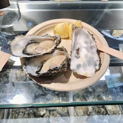 oystersWikiCC In: Oysters, Freshwater and Florida’s Future  | Our Santa Fe River, Inc. (OSFR) | Protecting the Santa Fe River