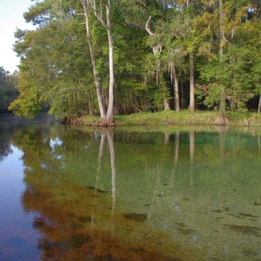 Rum Is Spring 2014 MMJ