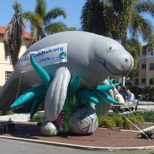 sum25manatee In: Summit 25 a Great Success | Our Santa Fe River, Inc. (OSFR) | Protecting the Santa Fe River
