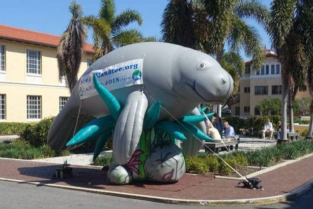 sum25manatee In: Summit 25 a Great Success | Our Santa Fe River, Inc. (OSFR) | Protecting the Santa Fe River