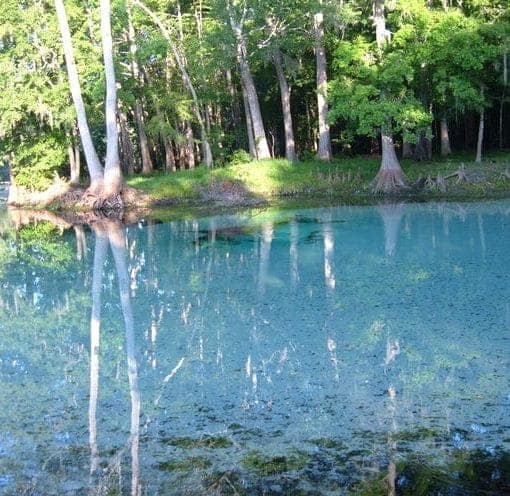 RumIsSpring.Lucinda Faulkner Merritt