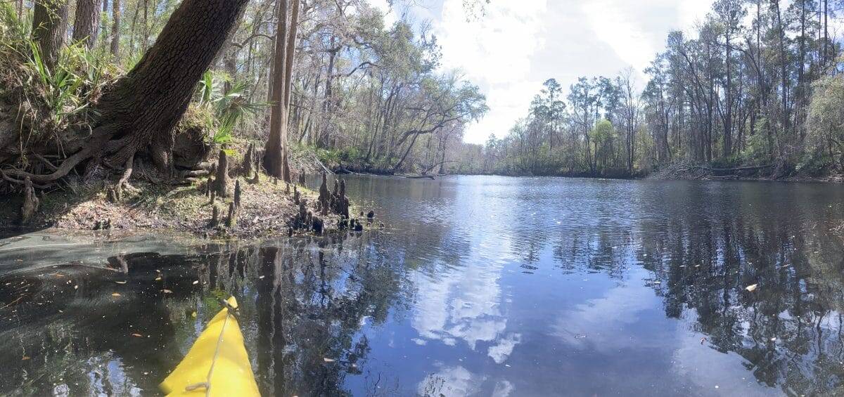 RRMar25 1 1 In: River Rise and the Hornsby Springshed | Our Santa Fe River, Inc. (OSFR) | Protecting the Santa Fe River