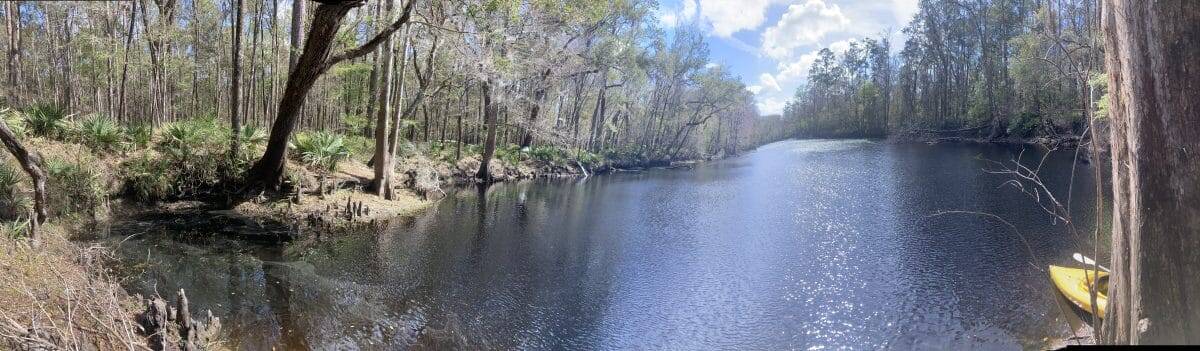 RRMar25 2 1 In: River Rise and the Hornsby Springshed | Our Santa Fe River, Inc. (OSFR) | Protecting the Santa Fe River