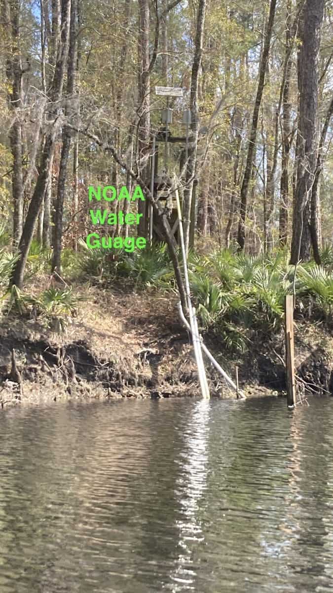 RRMar25 5 1 In: River Rise and the Hornsby Springshed | Our Santa Fe River, Inc. (OSFR) | Protecting the Santa Fe River