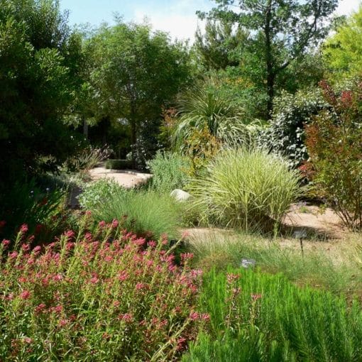 Springs Preserve garden plants In: Water Conservation and our Aquifer | Our Santa Fe River, Inc. (OSFR) | Protecting the Santa Fe River