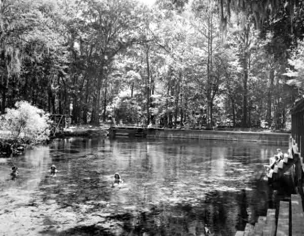 ge1739 In: Poe Springs | Our Santa Fe River, Inc. (OSFR) | Protecting the Santa Fe River