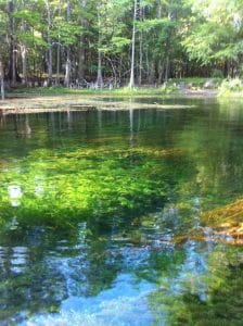 July Apr2012MMJ e1748452870124 In: The Springs of the Lower Santa Fe River | Our Santa Fe River, Inc. (OSFR) | Protecting the Santa Fe River July/2012/MMJ