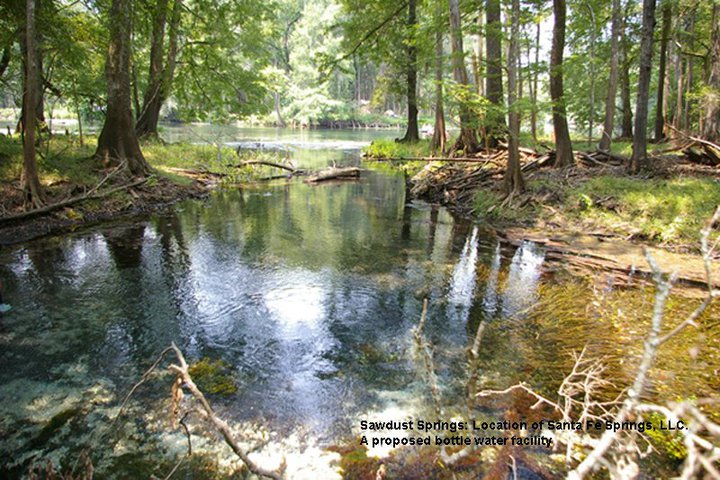 Sawdust Aug2010MMJ In: The Devils Ear Springshed | Our Santa Fe River, Inc. (OSFR) | Protecting the Santa Fe River