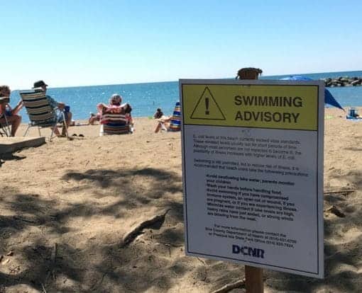 beach pollution In: We Are Losing Our Planet | Our Santa Fe River, Inc. (OSFR) | Protecting the Santa Fe River