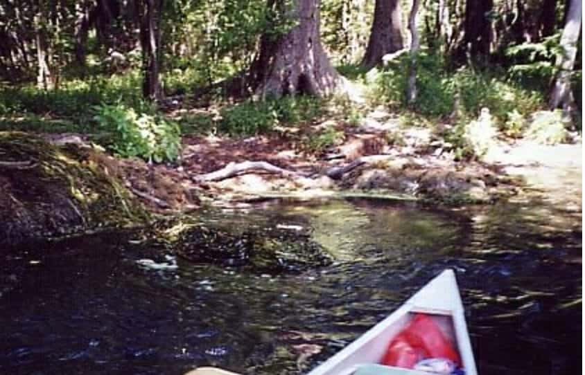 LittleAwesomeSpringFever In: The Springs of the Lower Santa Fe River | Our Santa Fe River, Inc. (OSFR) | Protecting the Santa Fe River LittleAwesome, SpringsFever,