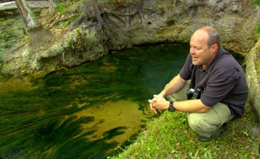 Screenshot from 'Water's JourneyHidden Rivers of Florida, 2011'