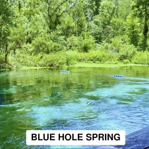 Screenshot of 'Nine Named Springs of the Ichetucknee' video Ichy Boyz 2025