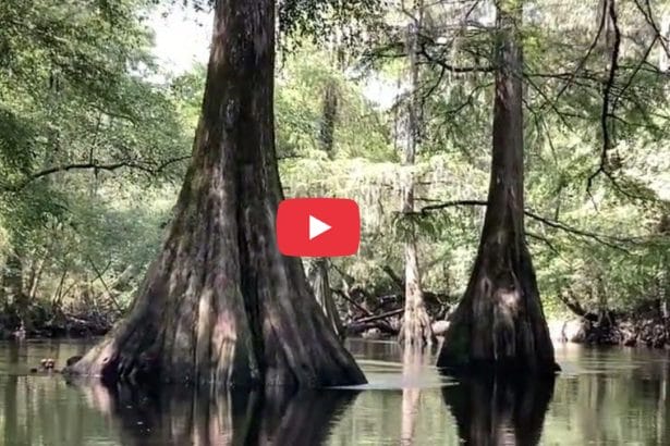 Cypress at Bible Camp JT