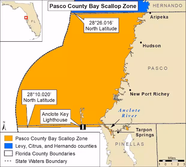 pascoscalloping In: Unsafe Toxins Halt Florida’s Popular Pasco Scallop Season for 2nd Year In a Row | Our Santa Fe River, Inc. (OSFR) | Protecting the Santa Fe River