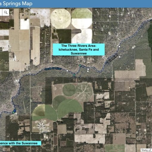 Three Rivers Area, screenshot from FSI's Interactive Springs Map.