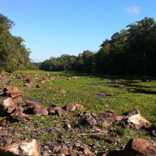WaterConsMo In: Dry, and Dropping Groundwater Levels | Our Santa Fe River, Inc. (OSFR) | Protecting the Santa Fe River