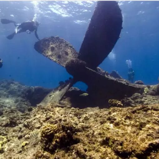 abandonedships In: Another Form of Pollution In Our Waterways | Our Santa Fe River, Inc. (OSFR) | Protecting the Santa Fe River