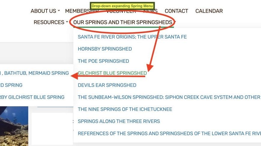 springMenu In: One-Touch Springs Menu | Our Santa Fe River, Inc. (OSFR) | Protecting the Santa Fe River