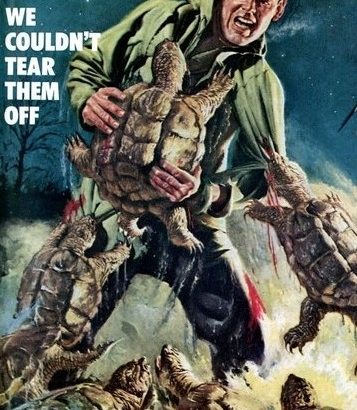 6b18089ed81ca62714e26785e90739be In: New Species of Alligator Snapper | Our Santa Fe River, Inc. (OSFR) | Protecting the Santa Fe River