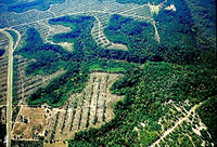 Apalachicola Ravines In: Hydrophilia Gone Bad | Our Santa Fe River, Inc. (OSFR) | Protecting the Santa Fe River