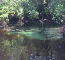 Bathtub Springs In: Rainfall 25% Higher Than Average in the SRWMD | Our Santa Fe River, Inc. (OSFR) | Protecting the Santa Fe River